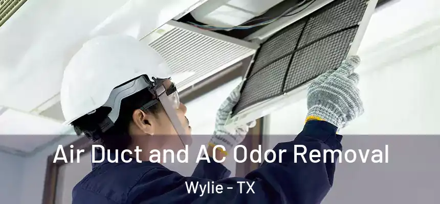  Air Duct and AC Odor Removal Wylie - TX