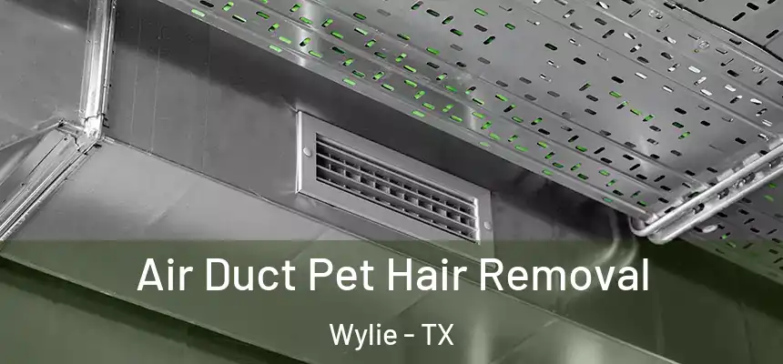  Air Duct Pet Hair Removal Wylie - TX