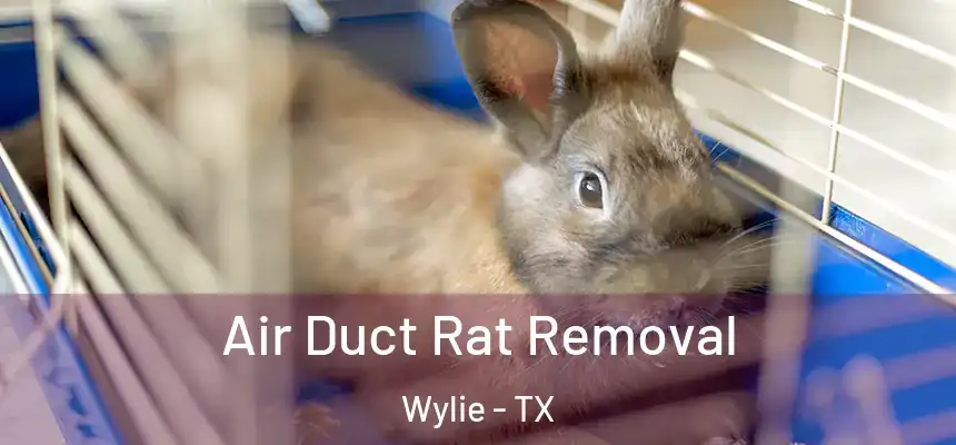 Air Duct Rat Removal Wylie - TX