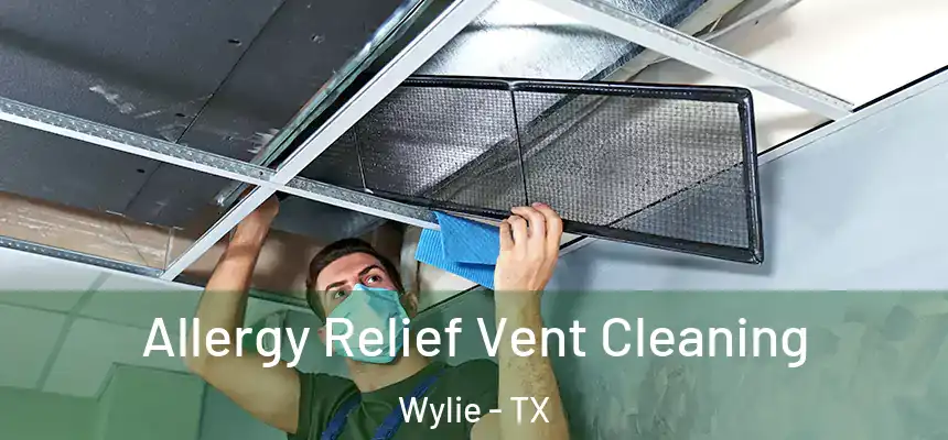  Allergy Relief Vent Cleaning Wylie - TX
