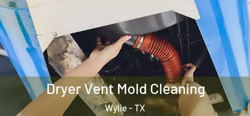 Dryer Vent Mold Cleaning Wylie - TX