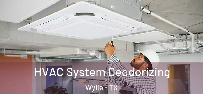 HVAC System Deodorizing Wylie - TX