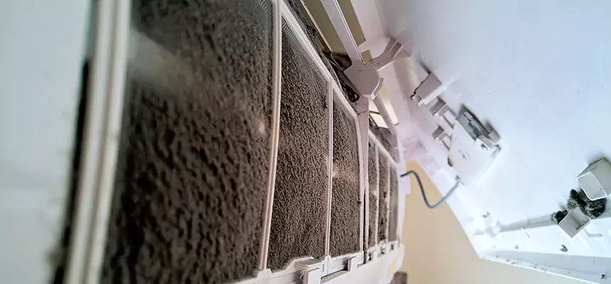 Preventive Air Duct Bacteria Removal in Wylie