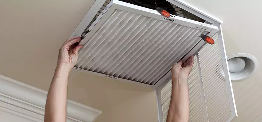 Preventive Cockroach-Proofing for Ducts in Wylie