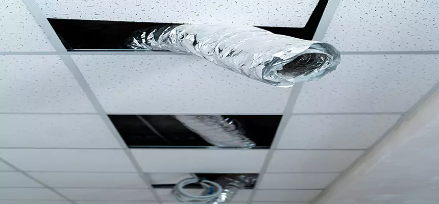 Our Air Duct Pet Hair Removal Services in Wylie, TX