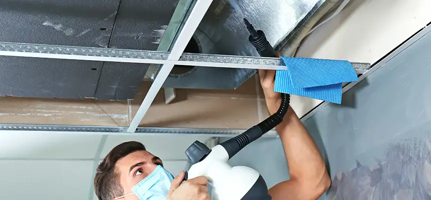 Our Air Duct Rodent Removal Services in Wylie, TX