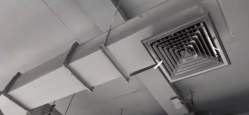 Our Pest Removal From Ducts Services in Wylie, TX