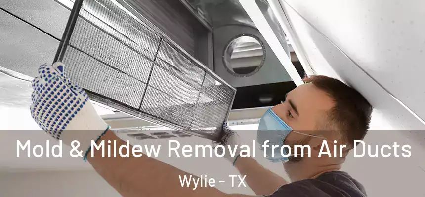  Mold & Mildew Removal from Air Ducts Wylie - TX