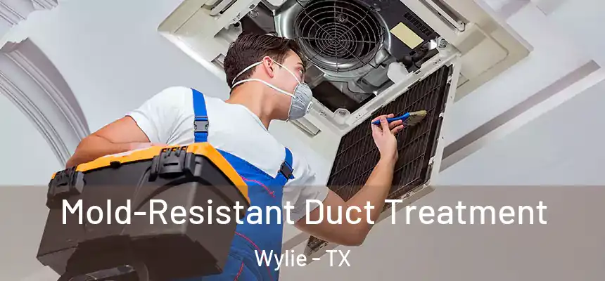 Mold-Resistant Duct Treatment Wylie - TX