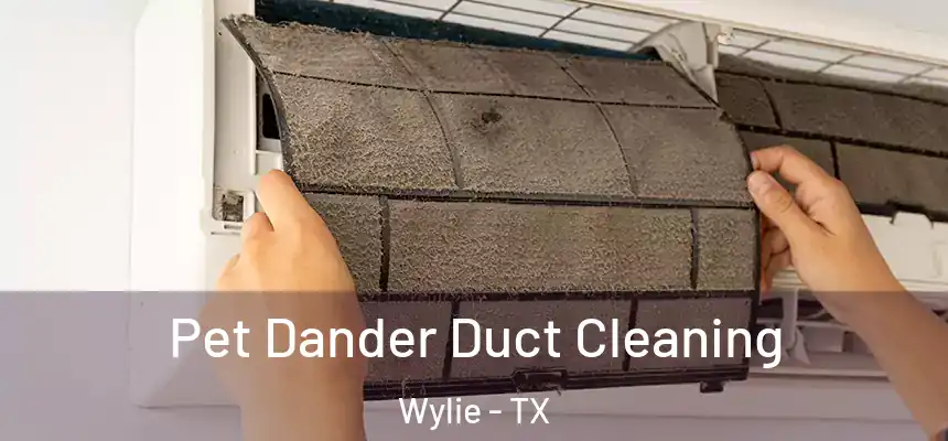  Pet Dander Duct Cleaning Wylie - TX