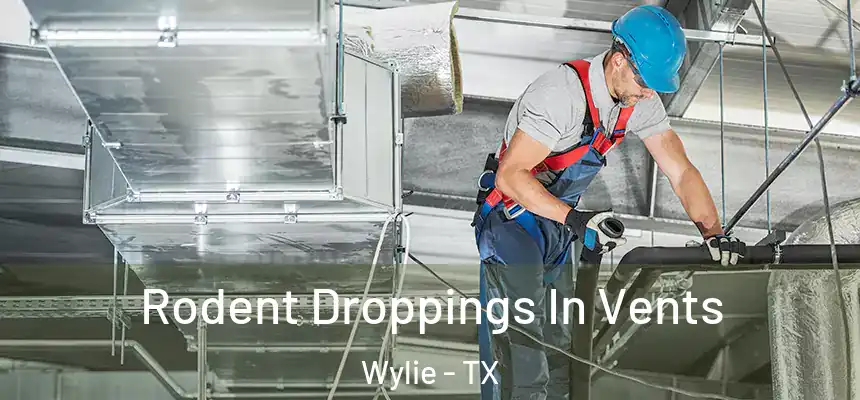 Rodent Droppings In Vents Wylie - TX
