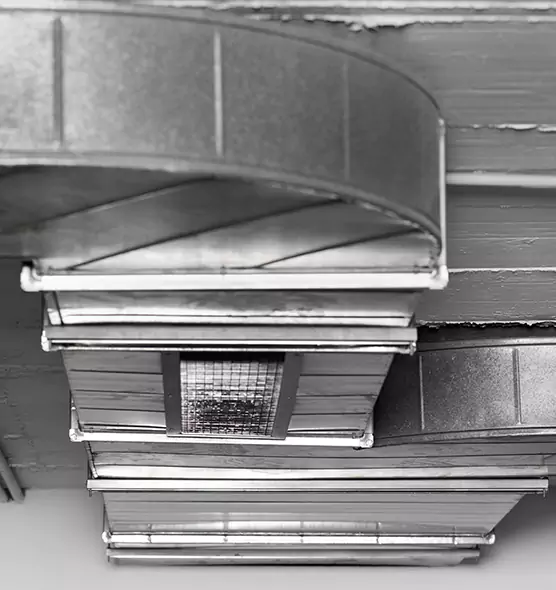 Professional Air Duct Pest Removal in Wylie, TX