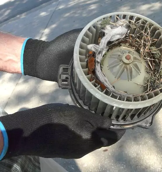 About Air Duct Rat Removal in Wylie, TX