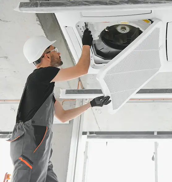 About Air Duct Rodent Removal in Wylie, TX