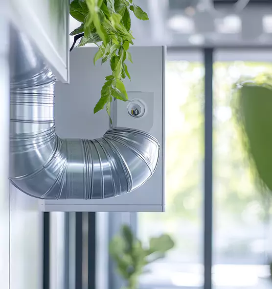 Professional Eco-Safe Dryer Vent Cleaning in Wylie, TX