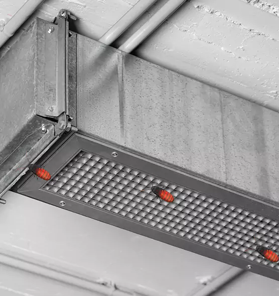 Affordable Insect Removal from Air Ducts in Wylie, TX