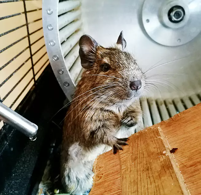 Why Homeowners & Businesses Trust Us Wylie, TX?