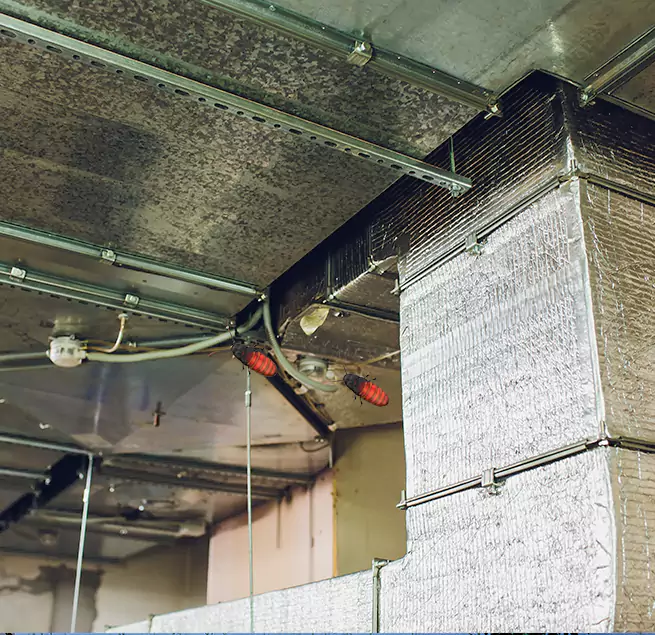 Why Homeowners & Businesses Trust Us Wylie, TX?