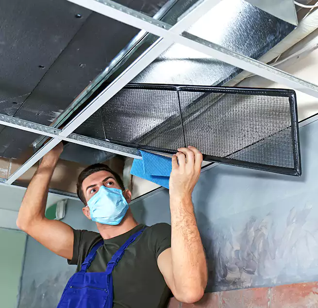 Why Homeowners Businesses Trust Us in Wylie, TX